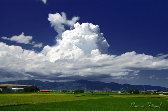 【画像あり】お前ら大好き夏の田舎スレ_2047