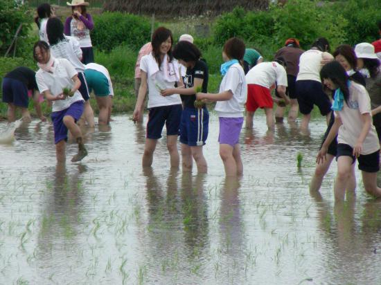 【画像あり】お前ら大好き夏の田舎スレ_32767