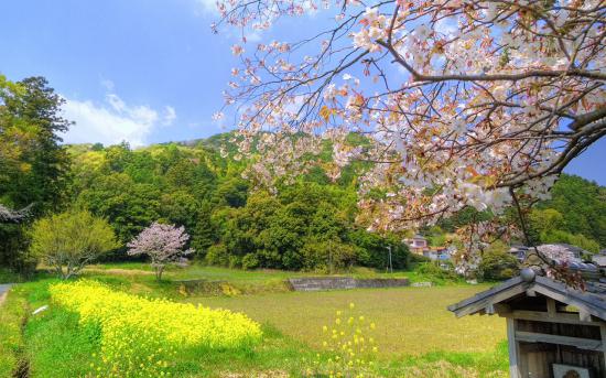 【画像あり】お前ら大好き夏の田舎スレ_4194303