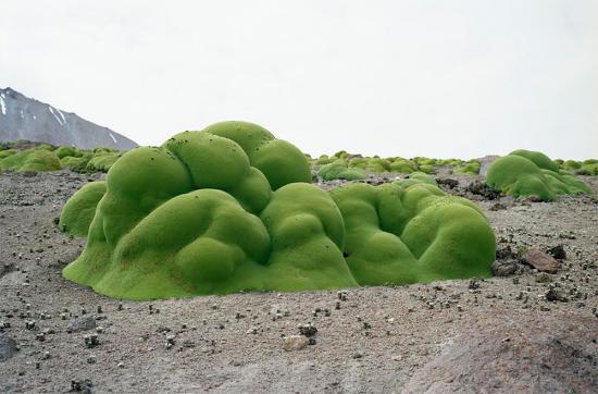 【画像】砂漠の風景を置いておきます_67108863