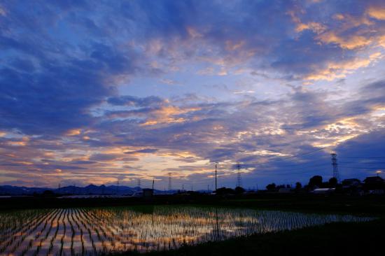 ふ、と撮った好きな風景写真を貼ってくスレ_32767