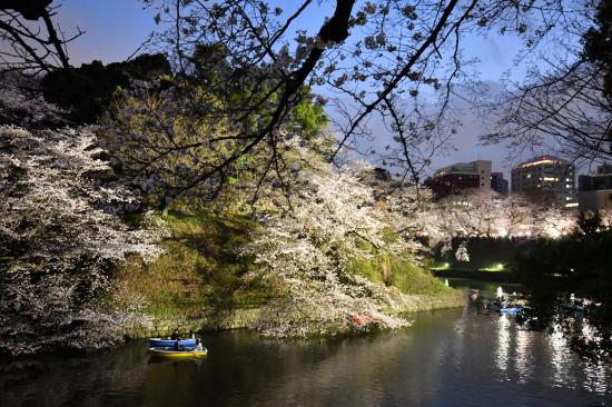 ふ、と撮った好きな風景写真を貼ってくスレ_4194303