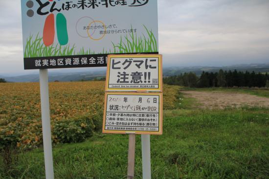 バイクで北海道行ってきたから写真貼ってく_524287